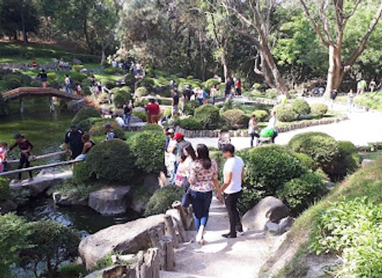 mexico/northern-mexico/attraction/bosque-los-colomos