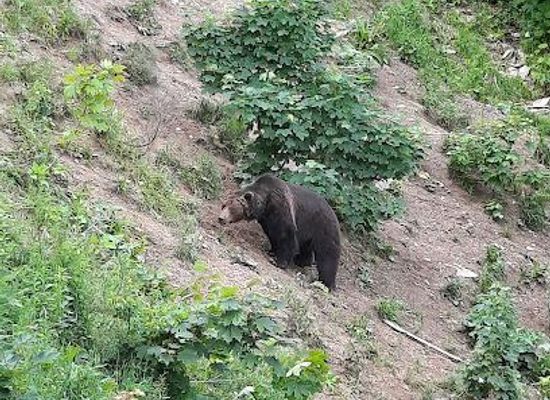 romania/brasov/attraction/outdoor-holidays