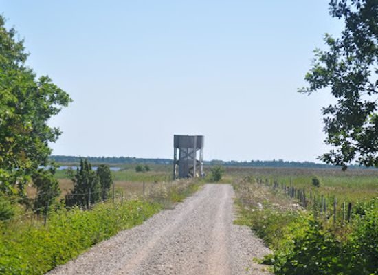 estonia/kuressaare/attraction/loode-tammiku-opperada
