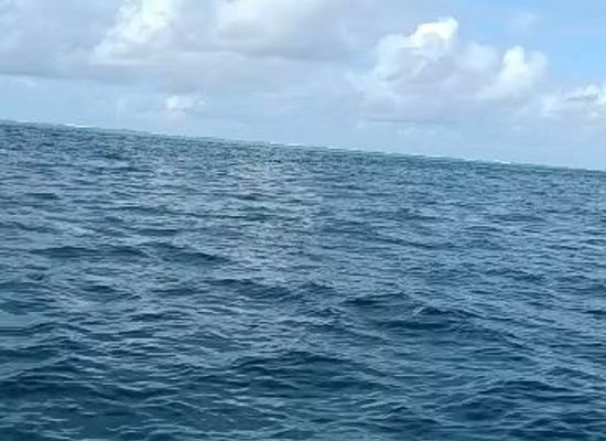 mauritius/tamarin/attraction/dolphins-cruise-ltd