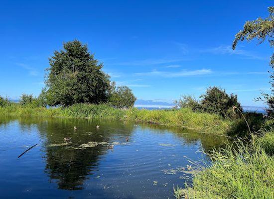 washington/olympic-national-park/attraction/golden-gardens-park