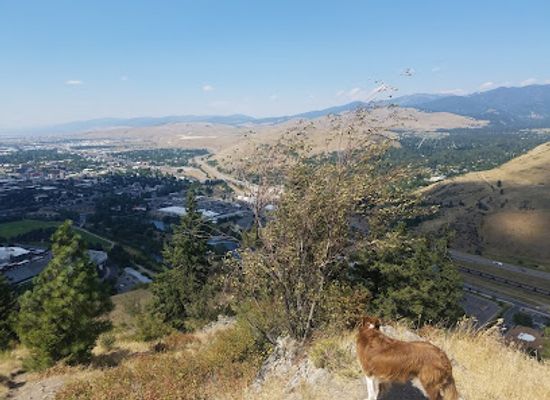 montana/missoula/attraction/the-m