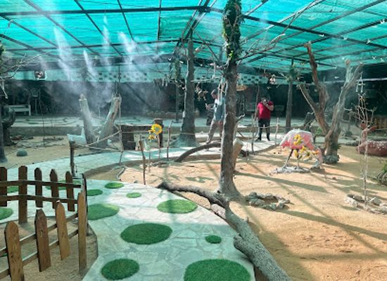 saudi-arabia/al-ula/attraction/reesha-santuary-and-resort
