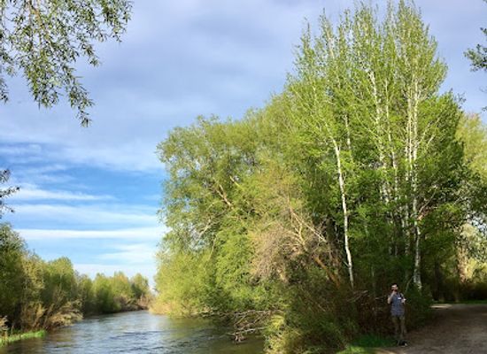 idaho/rexburg/attraction/eagle-park-campground