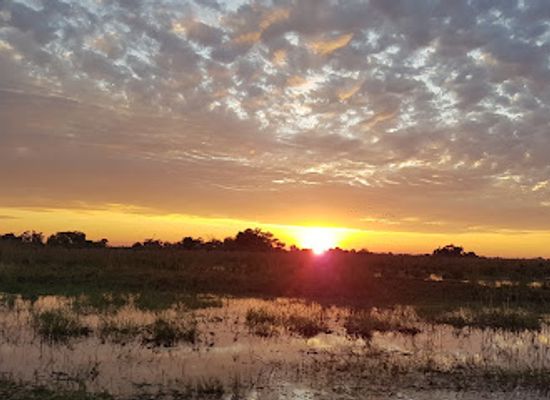 namibia/caprivi-strip/attraction/mashi-river-safaris