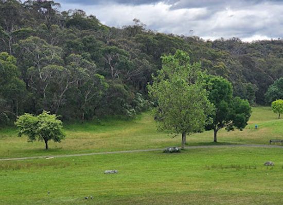 australia/yarra-valley/attraction/kangaroo-viewing-trail