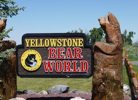 idaho/snake-river-plain/attraction/yellowstone-bear-world