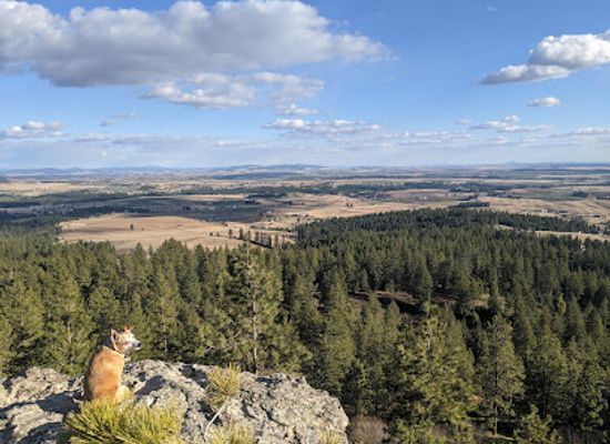 washington/spokane/attraction/iller-creek-conservation-area
