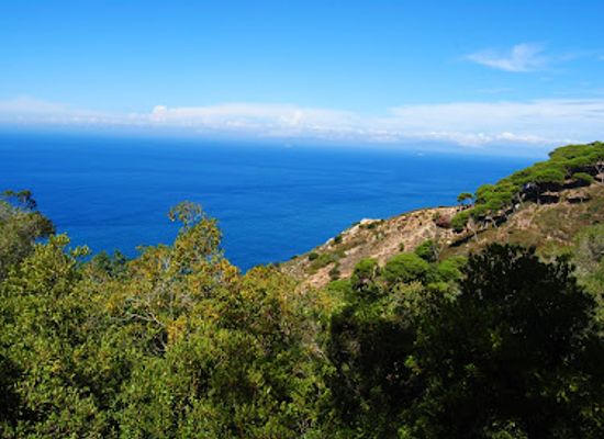 morocco/tangier-region/attraction/rmilat-park
