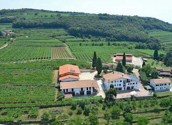 italy/verona/attraction/gamba-winery-wine-tasting