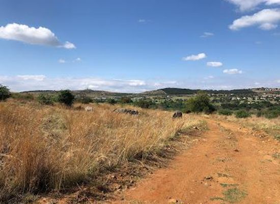 south-africa/pretoria/attraction/groenkloof-nature-reserve