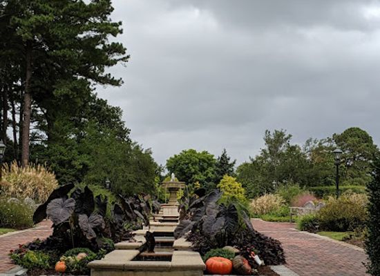 virginia/chesapeake-bay-region/attraction/norfolk-botanical-garden