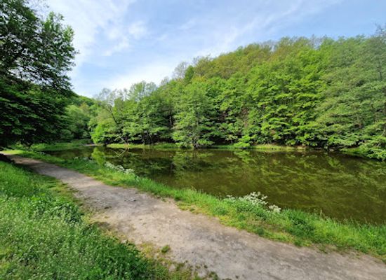 hungary/pilis-mountains/attraction/visegradi-pisztrangos-tavak