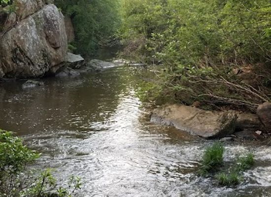 north-carolina/uwharrie-mountains/attraction/jumping-off-rock-trailhead