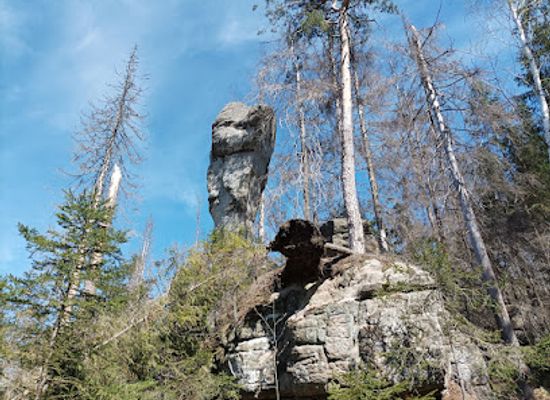 poland/stolowe-mountains/attraction/skalne-grzyby
