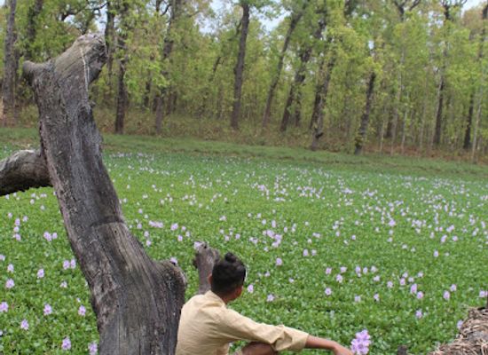 nepal/chitwan-national-park/attraction/orala-ghol-lake