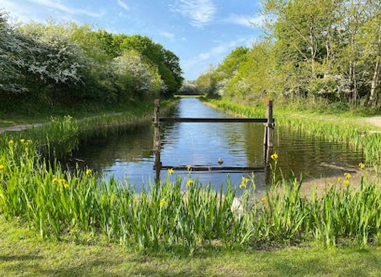 netherlands/zeeland/attraction/natuurgebied-oranjezon