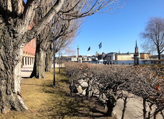 sweden/narke/attraction/nobel-prize-museum