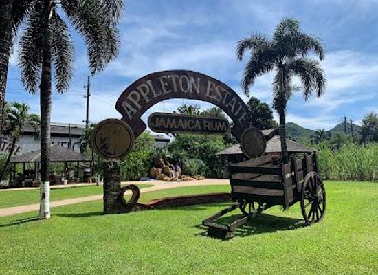 mauritius/black-river/attraction/appleton-estate-rum-tour