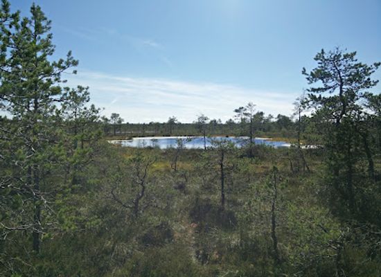 estonia/lahemaa/attraction/liiapeksi-aegviidu-matkarada