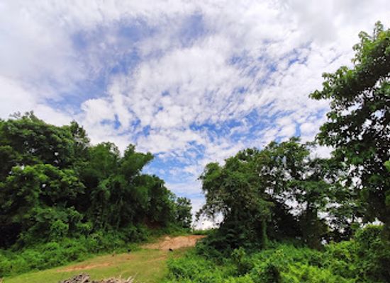 india/assam/attraction/brahmaputra-river-bank