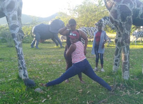 zimbabwe/mutare/attraction/vumba-gateway-gardens-and-curios