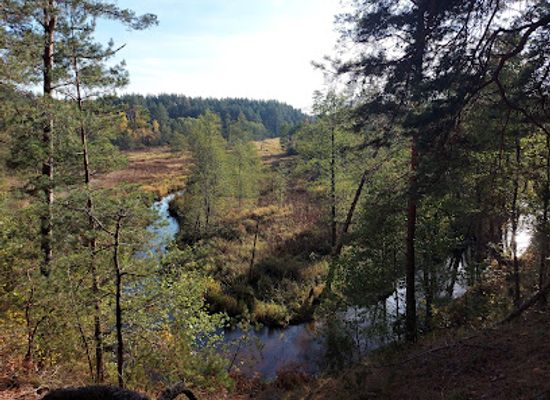 lithuania/dzukija-national-park/attraction/saudyklos-kalnas