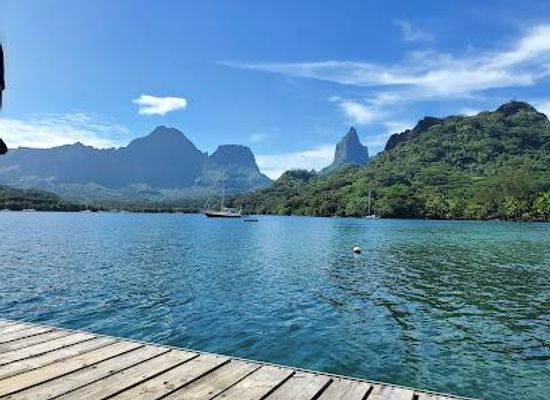 french-polynesia/windward-islands/attraction/corallina-tours-excursion-baleine-snorkeling-moorea-polynesie
