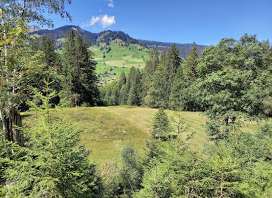 switzerland/bernese-oberland/attraction/luegibodenstein