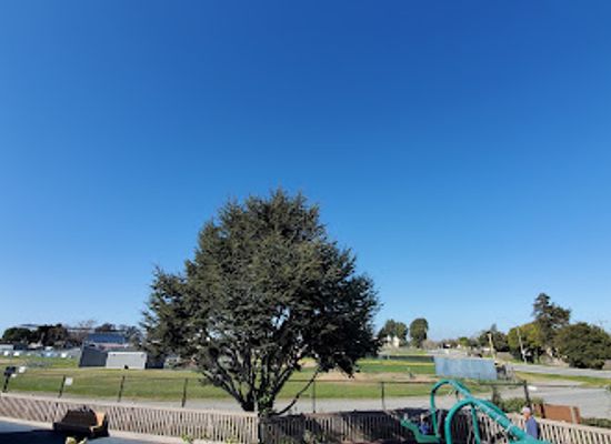 california/salinas-valley/attraction/tatum-s-garden