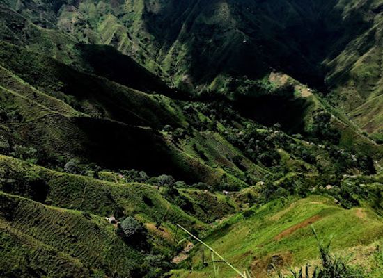 haiti/sud/attraction/la-visite-national-park
