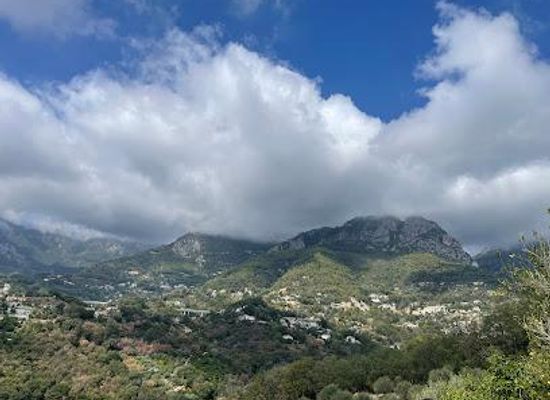 monaco/monte-carlo/attraction/la-ferme-des-citrons