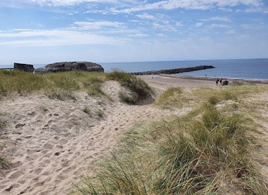 denmark/west-jutland/attraction/sneglehuset
