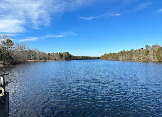 new-jersey/raritan-valley/attraction/wharton-state-forest