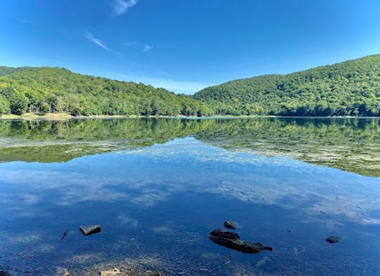 canada/eastern-townships/attraction/gault-nature-reserve-of-mcgill-university