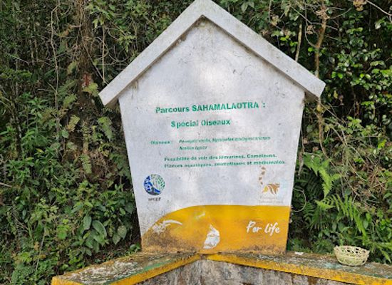 madagascar/ihorombe/attraction/vohipara-trail