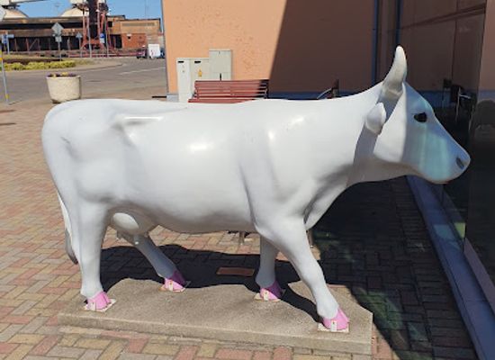 latvia/ventspils/attraction/at-the-mirror-cow-sculpture