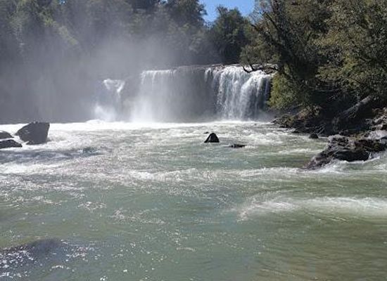 argentina/northern-patagonia/attraction/parque-nacional-puyehue