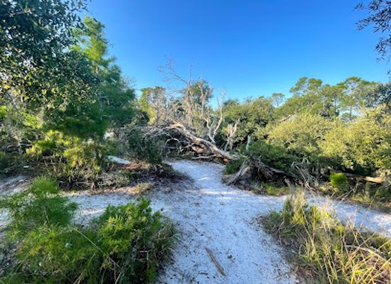 florida/nature-coast/attraction/st-andrews-state-park