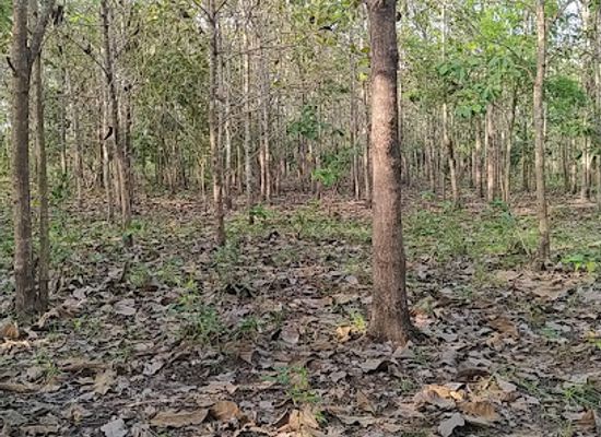 togo/agbodrafo/attraction/teckerais-lankpe-nasko