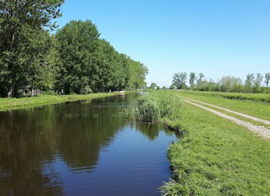 netherlands/alblasserwaard/attraction/natuur-en-vogelwacht-de-alblasserwaard