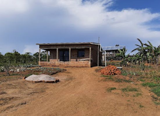 uganda/masaka/attraction/akosua-s-farm