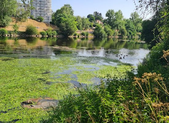france/limoges/attraction/parc-des-bords-de-vienne