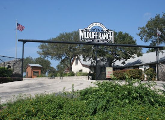 texas/central-texas/attraction/natural-bridge-wildlife-ranch
