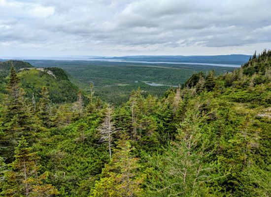 canada/avalon-peninsula/attraction/barachois-pond-provincial-park