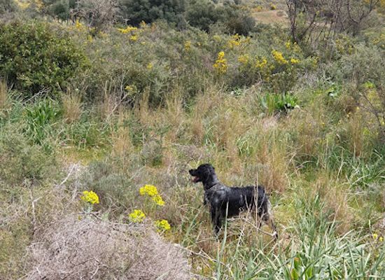 greece/kefalonia/attraction/kefalonia-game-farm