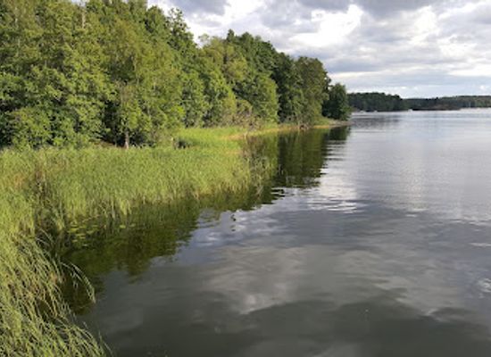 sweden/sodermanland/attraction/drottningholm-palace