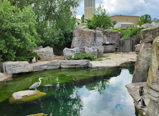 germany/taunus/attraction/zoo-frankfurt