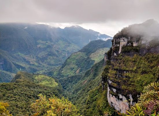 colombia/santanderes/attraction/pandora-forest