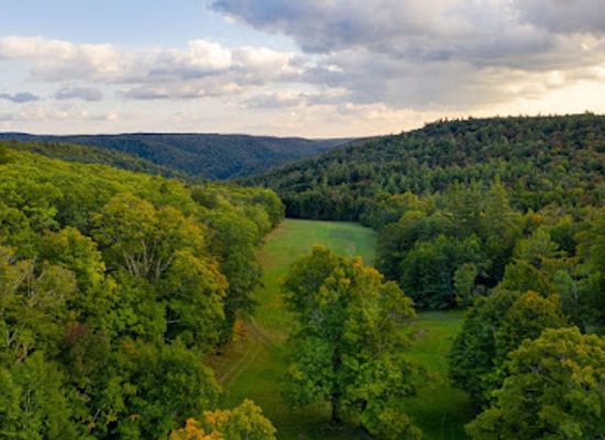 massachusetts/mohawk-trail-state-forest/attraction/better-place-forests-berkshires